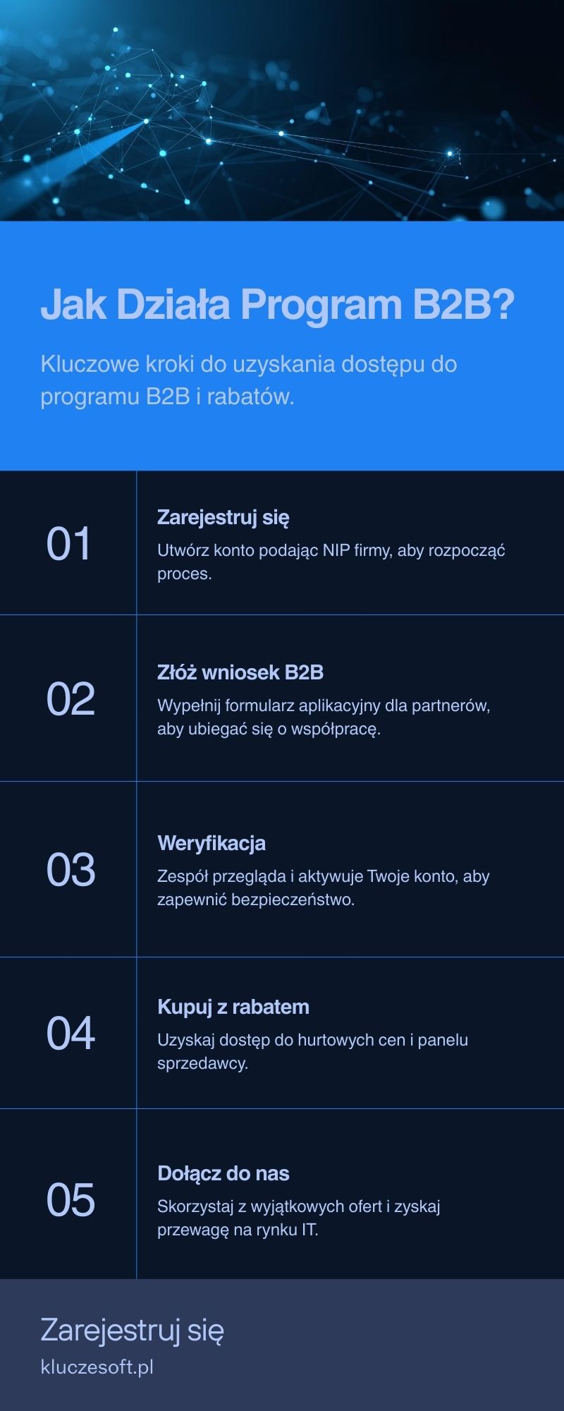 Jak Działa Program B2B